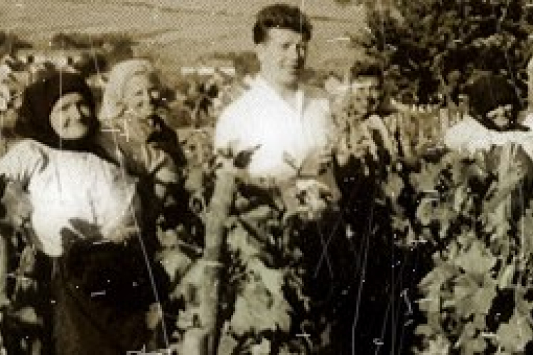 Konzervatív, de változik a magyar borízlés