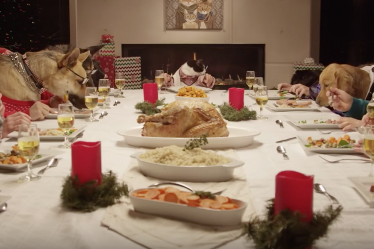 13 kutya és 1 macska karácsonyi vacsorája 