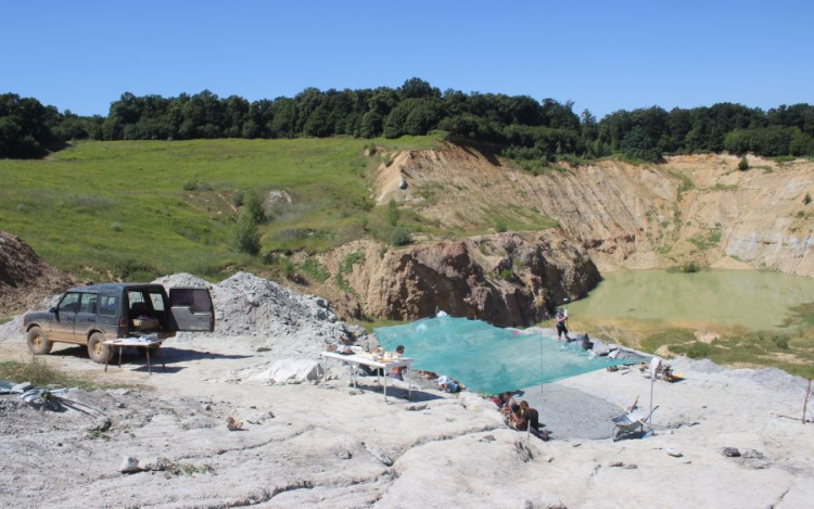 Átírja az eurázsiai dinoszauruszok evolúciójáról alkotott eddigi elképzeléseket egy Iharkúton talált koponyalelet