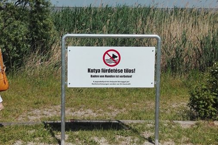 Nem fürödhetnek többet a kutyák a Fertő-tóban