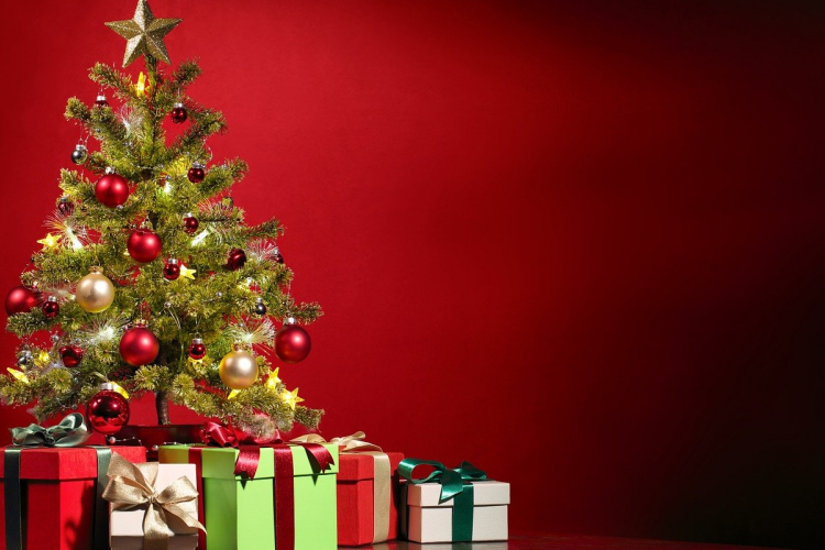 A magyarok 45,8 százaléka műfenyőt vásárol karácsonyra 