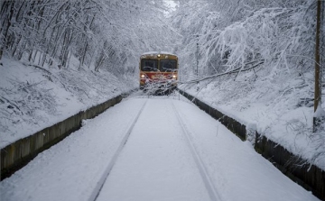 Havazás - több vonalon akadályozzák a vonatforgalmat a sínekre dőlt fák