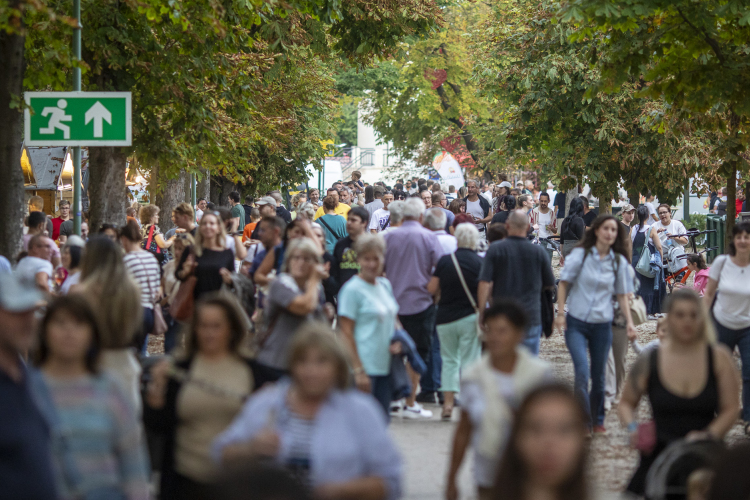 Remekül telt az idei Soproni Szüreti Napok is