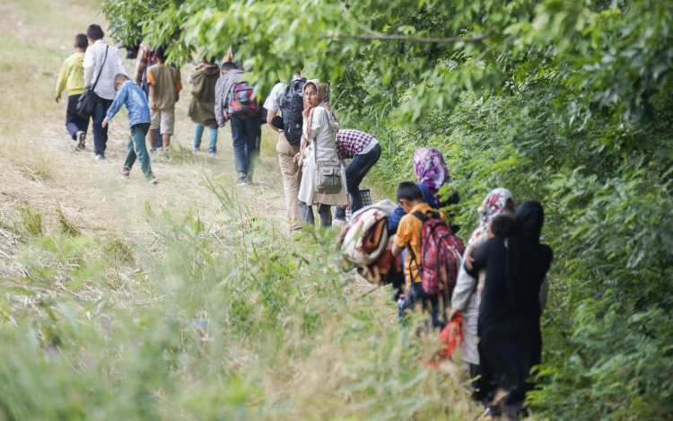 Migránstábor épülhet a magyar határ közelében