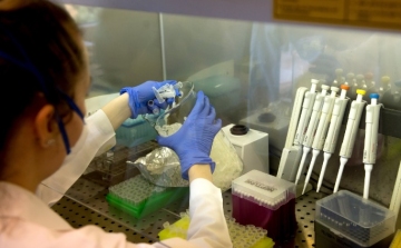 A fogyasztóvédelem ellenőrzi a PCR-tesztek hatósági árának betartását
