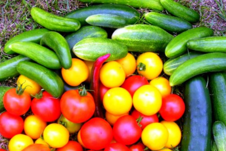 Ezek a legjobb ételek a meleg ellen