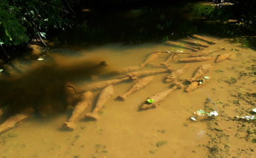Robbanótesteket találtak a Gerence-patakban
