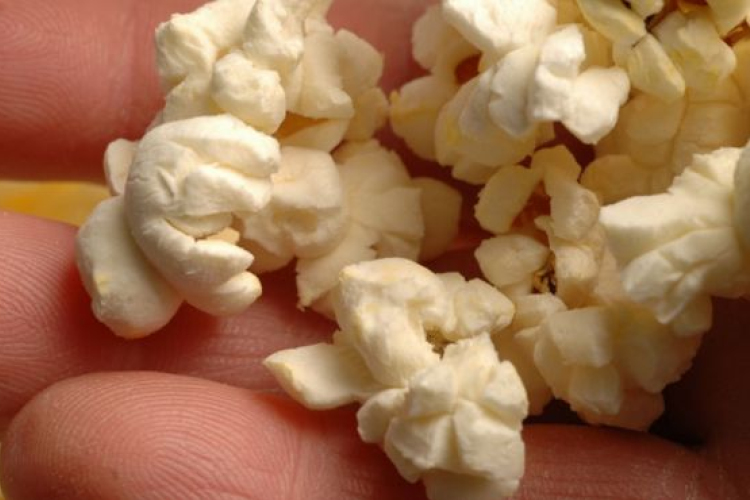 Amerika fellépett a transzzsírok ellen