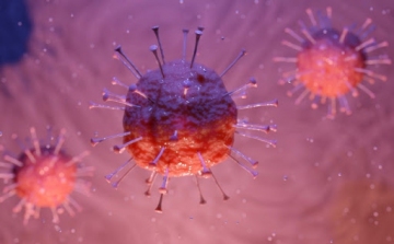 Csaknem 2,8 millióan fertőződtek meg a koronavírussal szerte a világon